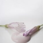 Maling - Faded rose - 700 ml