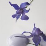 Maling - French Lavender - 700 ml