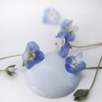 701131 Maling - Baby Blue - 100ml