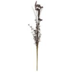 Blomst - brunlige nuancer