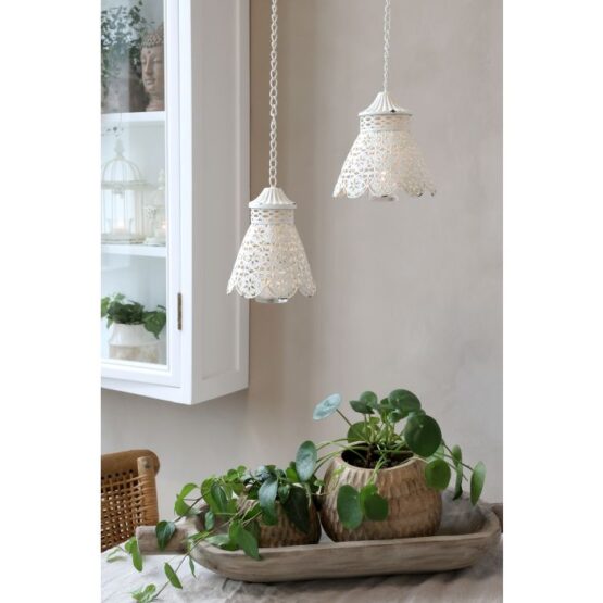 71132219_04-1730419200