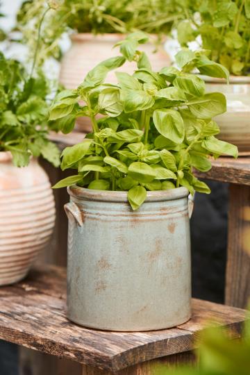 Skjuler m. ører - Grå distressed