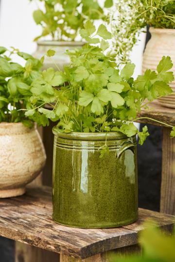 Skjuler m. ører - Mosgrøn distressed